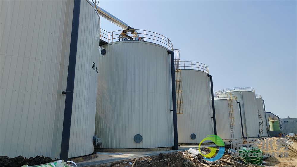 IMG20240630092347.jpg IMG20240630092347.jpg